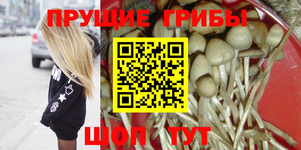 Галлюциногенные грибы мухоморы  Вход с VPN  Благовещенск  Галлюциногенные грибы GOLDEN TEACHER 