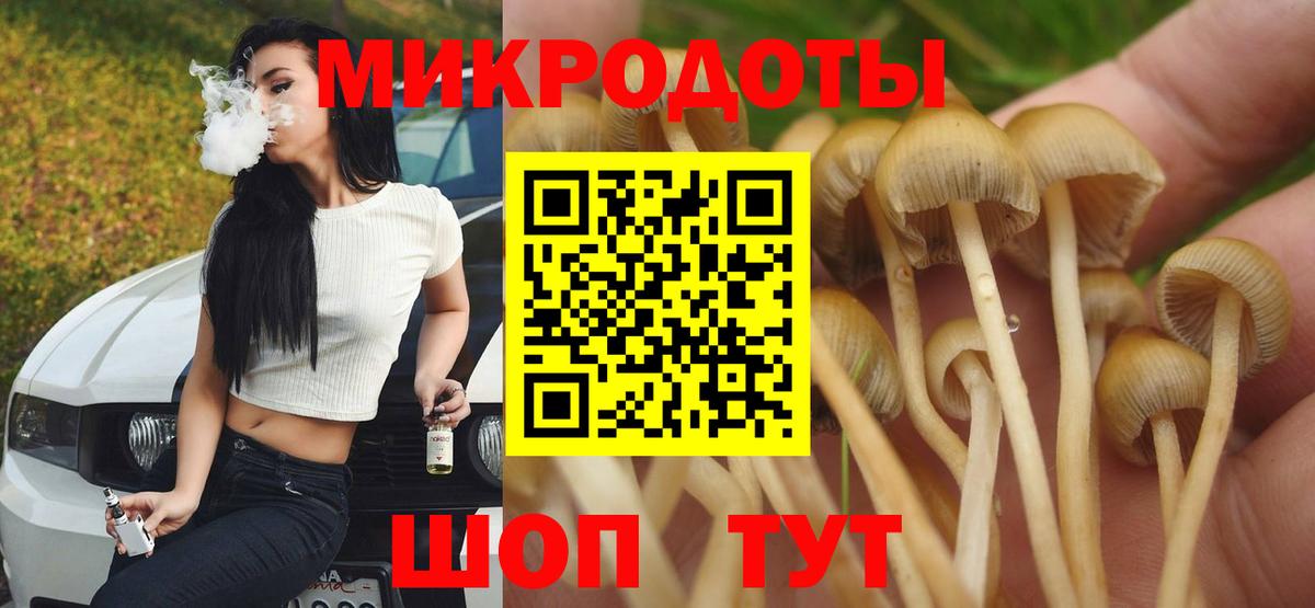 Галлюциногенные грибы Cubensis Благовещенск